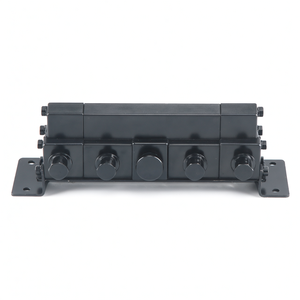 Divisor de Flujo Hidráulico de Engranajes Sincrónicos Rotatorios de Alta Calidad, Grupo 2, 4 Secciones, Nuevo - Product Image 3