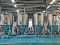 Bestway-Cassman SUS304 3000L, distillateur conique, appareil pour brasserie de bière