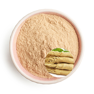 Ginsenósidos de etiqueta privada de alta pureza para Extracto de raíz de Panax Ginseng energético 98% suplemento ingrediente Ginsenoside - Product Image 2