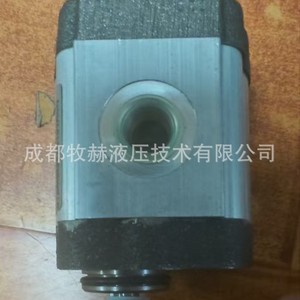 Pompe à engrenages Chengdu Muhe 01ZMBG42C101R, pompe rotative en aluminium moulé, entraînement par moteur, pompes hydrauliques - Product Image 1