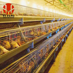 Nuovo un tipo di gabbia di pollo eco-friendly piramide con sistema di alimentazione autoamtica gabbia di allevamento di pollame di lunga durata - Product Image 1