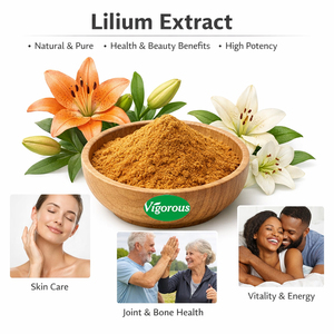 Extrait de lys, poudre de <span class=keywords><strong>Lilium</strong></span> Candidum, fourniture directe d'usine, certifié ISO et GMP - Product Image 1
