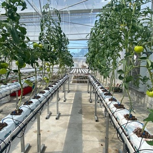 Système de culture hydroponique Tube de culture de tomates Rainure de plantation de légumes Jardin vertical hydroponique - Product Image 1