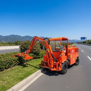 Machine de taille d'arbres à moteur diesel à prix d'usine, puissante taille-branches, équipement de coupe d'arbustes et d'herbe, fournisseur OEM - Product Image 4