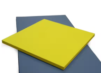 Tatami JF Standard para MMA y Judo, 200x100x4cm, 5cm, Tatami para Jiu-Jitsu Brasileño, Tapete de Espuma para Artes Marciales, Karate y Lucha