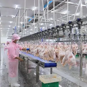 1500BPH équipement d'abattoir d'usine de traitement de viande animale