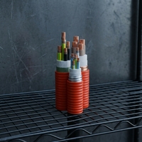 KVVP Industrielles Niederspannungs-Steuerkabel 2x1,5 3x1,5 4x2,5 10x1,0 mm Kupferkern XLPE Gesamtgeschirmt Geflochtener Schirm