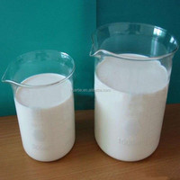 Lait Corporel en Gros Éclaircissant Peau Lumineuse Végétalien Sans Cruauté Hydratant Peau Sèche Non-Gras