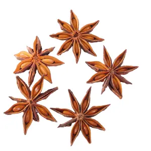 SouthFraGrass wholesale spices High Quality star anise single spices & herbs for Food Cooking