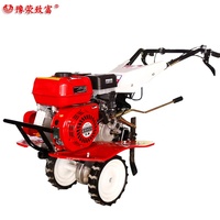 Motoculteurs et mini-motoculteurs multifonctionnels à moteur diesel avec 5/6 outils, machine de labour agricole à haute productivité
