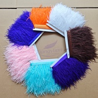 Promotion : Bordure en plumes d'autruche blanches teintées, 10-13 cm, franges moelleuses, garniture en dentelle pour robe de soirée et décoration de danse