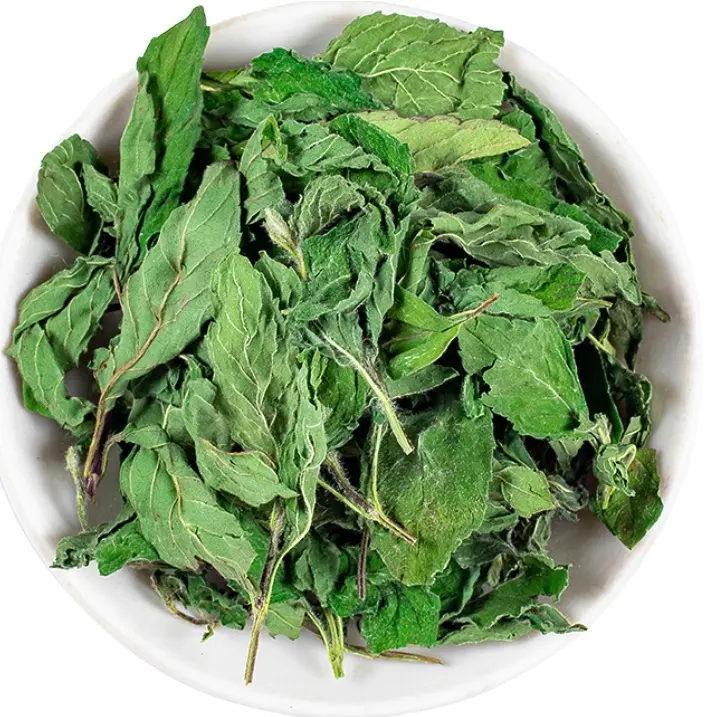 Bulk Organic Green mint leaf New havested dried raw whole Dried mint leaves tea