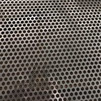 Livraison Rapide Tôle Perforée en Alliage d'Aluminium à Micro-Trous de Précision pour Grille de Haut-Parleur, Écran d'Absorption Acoustique, Pliage et Découpe