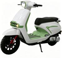Moto de tourisme moderne YT Sportbikes à 2 roues, 1000W, 48V, moteur sans balais, vitesse maximale de 40-60 km/h