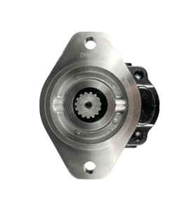 Pompe hydraulique simple en fer de la série 332/F9030 avec arbre à clavettes 20/912800 et 7029122001, et les pièces 20/925580 et 7029120048 Core Adv - Product Image 4