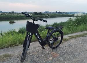 Bicicletta Elettrica Eurobike Snow in Lega di Alluminio, Pneumatici Fat da <span class=keywords><strong>28</strong></span>'', Freno a Disco, Motore Centrale Elettronico 500W, 7 Velocità, Batteria Rimovibile per Tutti i Terreni - Product Image 4