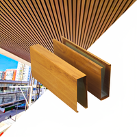 Plafond à lattes intérieur personnalisé, matériau métallique, plafond suspendu décoratif en aluminium, plafond linéaire extensible