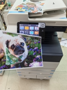Fotocopiadoras Usadas Reacondicionadas, Impresoras Láser a <span class=keywords><strong>Color</strong></span> A4 A3 Usadas para Xerox C7030 para Oficina y Hogar - Product Image 5