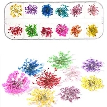 1 boîte de 24 fleurs séchées pour <span class=keywords><strong>nail</strong></span> <span class=keywords><strong>art</strong></span>, 12 couleurs, mini fleurs séchées, fleurs naturelles réelles, appliques 3D pour ongles, autocollants de décoration pour ongles - Product Image 2