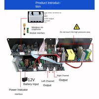 Amplificateur de puissance pour haut-parleur portable D1600, planche d'amplification, danse carrée, karaoké en plein air, chariot pour batterie 12V, 220VDSP Sound