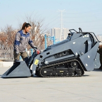 Moteur diesel Kubota, chargeuse compacte sur chenilles et mini-chargeuse compacte, boîte de vitesses, roulement, pompe, accessoire de godet pour l'agriculture et la construction