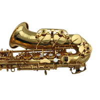 Eastern Music Pro Use Gold Lacquer Alto Saxophone Mark VI Style with Contoured PC Flight case