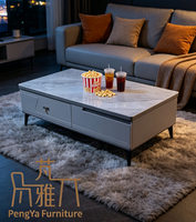 Ensemble Meuble TV et Table Basse de Luxe Moderne Personnalisé, Facile à Nettoyer, pour Villa, Appartement, Chambre et Salons