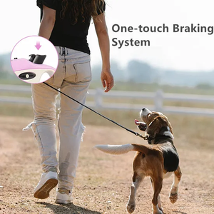 Guinzaglio Retrattile in Nylon per Cani e Gatti con Striscia LED per Addestramento - Product Image 5