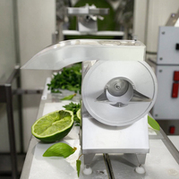 Industriële snijmachine met hoge capaciteit, verstelbare snijgroottes, 304 roestvrijstalen motor voor groenten & fruit