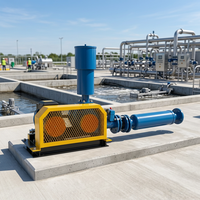 Souffleur d'air de type Roots à haut rendement volumétrique 380V 1,1kW pour l'aération des cuves de boues activées