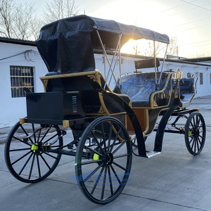 Carrosses de Mariage Électriques Spéciaux pour Visites Touristiques, Prix Usine, Transport de Luxe, à Vendre - Product Image 5