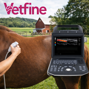 थोक पशु चिकित्सा अल्ट्रासाउंड मशीन पोर्टेबल पूर्ण डिजिटल चिकित्सा अल्ट्रासाउंड स्कैनर पोर्टेबल अल्ट्रासाउंड डॉपलर स्कैनर - Product Image 2