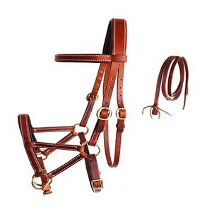 Bridas y Riendas para Caballo Hechas a Mano en Cuero Premium, Personalizables, Duraderas y Cómodas para Entrenamiento, Competencia y Exhibición - Product Image 1