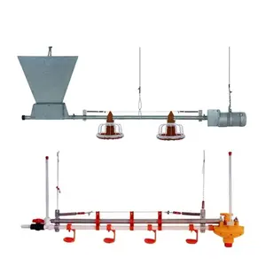 Poultry farming chicken feeder equipment Complete Automatic Broiler Feeding and Drinking line machinery