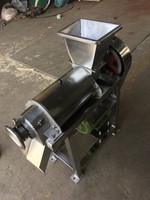 Professionele Gember Apple Juicer Fruit Sinaasappelsap Machine Sap Extractor Ananas Sap Maken Machine