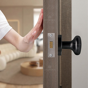 Modern Single Sided Indoor Invisible <strong>Door</strong> Lock Spherical Zinc Alloy <strong>Knob</strong> Ball Handle Easy Installation for Villa Bedrooms - Product Image 1