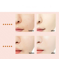 Foundation Cair Vegan Ringan Tahan Air Berkualitas Tinggi, Matte, Menutup Sempurna, Melembapkan, dan Mengandung Concealer serta BB Cream