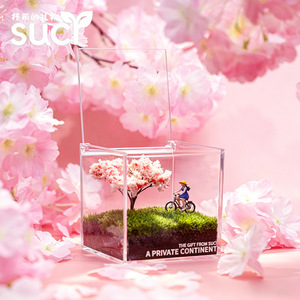 Miniatura de Bicicleta y Chica en Césped, Paisaje en Miniatura, Planta en Maceta para Oficina/Escritorio, Vegetación Creativa, Regalo para Personas Perezosas - Product Image 1