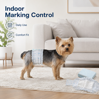 Couches jetables pour chiens mâles, anti-fuites, à surface non tissée douce, respirantes, super absorbantes, à fixation ventrale, direct usine