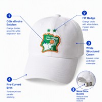 Gorras de Béisbol Bordadas a Mano con Diseño Personalizado, Logotipo en Parche Tejido, Color Azul Marino, para Senderismo al Aire Libre, Impermeables, Unisex, con Visera Curva
