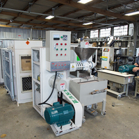 Presse à huile de graines automatique en acier inoxydable 6YL-70 Benteng, 80 kg/h, pressage à froid et à chaud, 380 V, 1350x1150x1400 mm, huile de palme