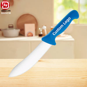 Couteau de <span class=keywords><strong>boucher</strong></span> de cuisine en acier inoxydable de qualité supérieure, nouveaux arrivages, couteau à <span class=keywords><strong>d</strong></span>ésosser droit et courbé, meilleur <span class=keywords><strong>prix</strong></span>, manche en PP - Product Image 2