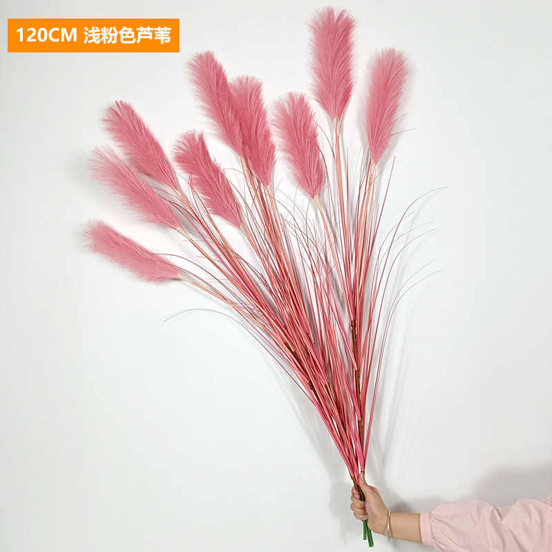 Cañas rosa claro, 120cm