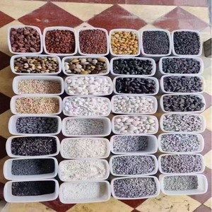 Tùy chỉnh hỗn hợp màu sông đá terrazzo sỏi đá Uẩn Vật liệu sỏi từ Trung Quốc - Product Image 3