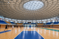 Estructura de Techo para Estadio de Gran Envergadura con Armazón Espacial de Acero Esférico, Prefabricada para Gimnasios y Pabellones Deportivos