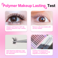 Kit d'assortiment de clusters de cils de styles variés, comprenant des cils effilés/volumineux/délicats avec des cils inférieurs, OEM disponible