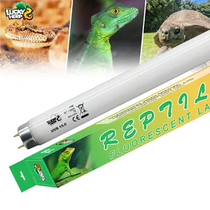 Nhà máy trực tiếp T5 8W & 24W Ống huỳnh quang Rừng Nhiệt Đới UVA & UVB ánh sáng cho các loài bò sát làm bằng thủy tinh có giá kinh tế - Product Image 1