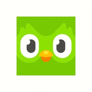 บัญชี Duolingo Pro ระดับพรีเมียม 1 ปี ใช้ได้ทั่วโลก เปิดใช้งานบัญชีของคุณเอง - Product Image 4