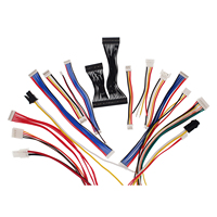 13065S-2-40A Kabel Harness Otomotif Konektor Elektronik