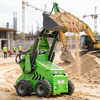 Mini-chargeuse compacte sur pneus, hydraulique, forestière, avec chenilles, conforme aux normes EPA